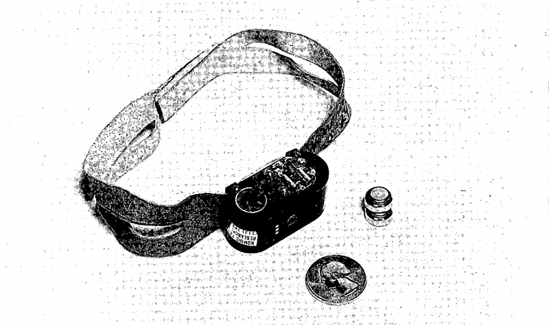 “Điệp viên” lông vũ  vẫn được tin dùng -0