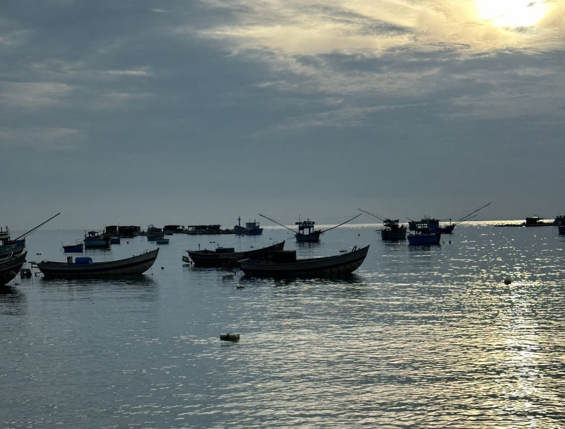 Truy tìm tàu vận tải biển tông chìm tàu cá ở phía Nam tỉnh Ninh Thuận -0