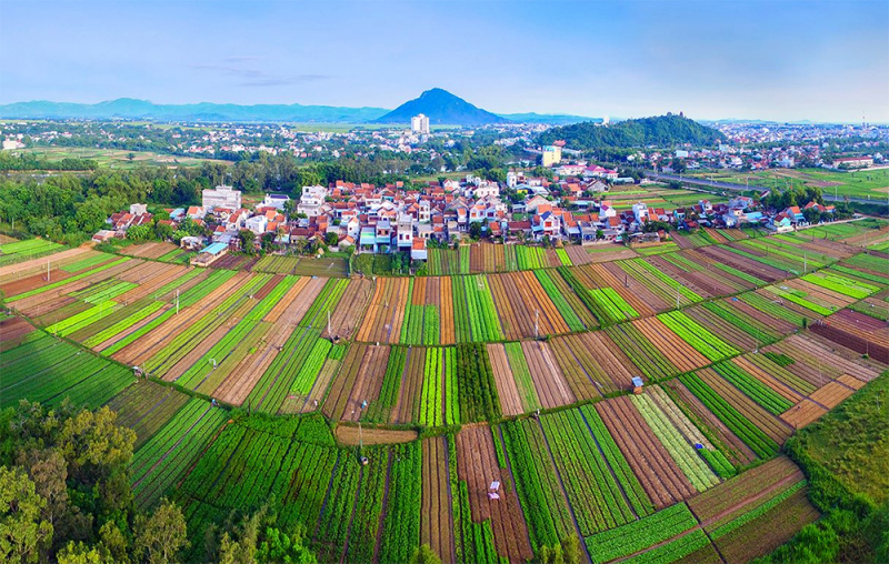 Bình yên làng nghề chuyên canh  rau, hoa ở Tuy Hòa -0