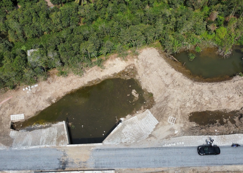 Nông dân bức xúc vì vườn sầu riêng ngập úng, cây chết khô -0