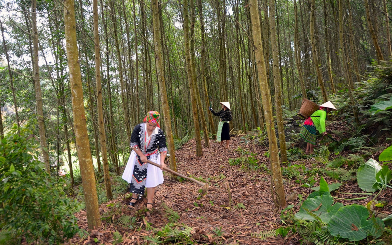 Về Tân An - “Mù lử gia tuờ” -0