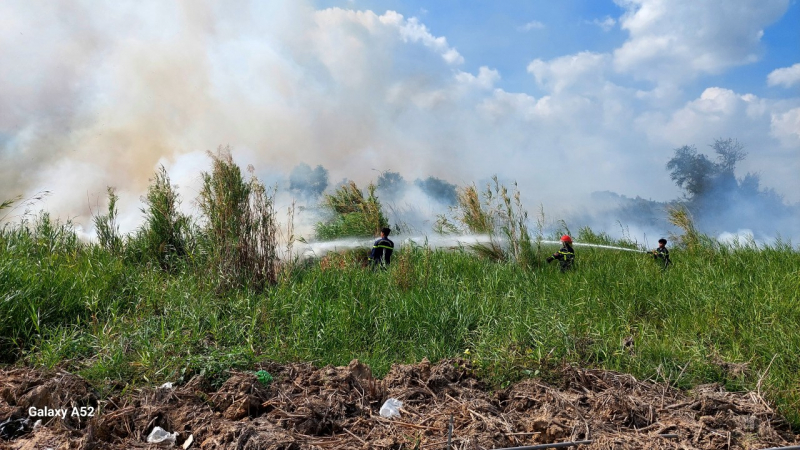 Hiểm họa cháy chực chờ khi đốt cỏ ở Sóc Trăng -1