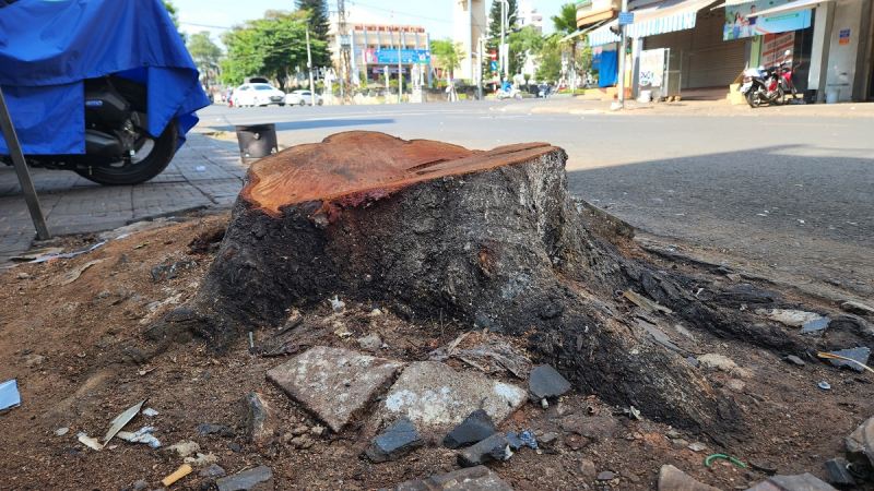 Băn khoăn với thành phố Cao nguyên xanh vì sức khỏe -0