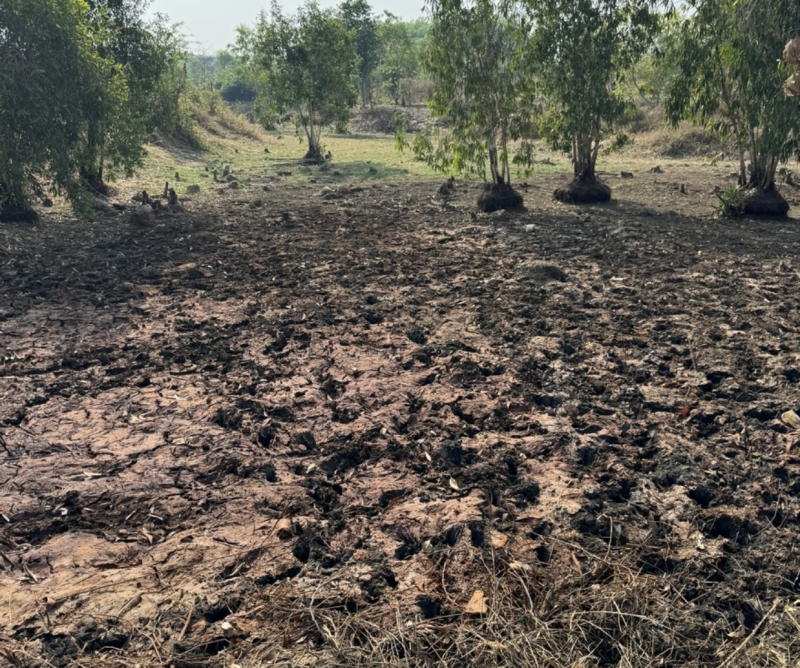 Kiểm tra doanh nghiệp xử lý rác thải nghi vấn chôn lấp chất thải nguy hại trái phép -0