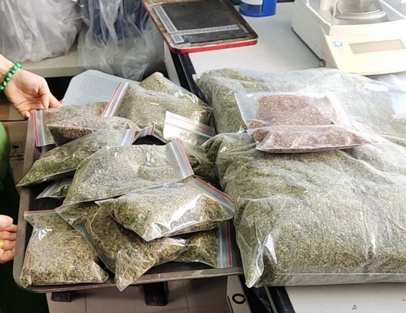 Bắt nhóm đối tượng bán cỏ Mỹ ở vùng ven nội thành Nha Trang -0