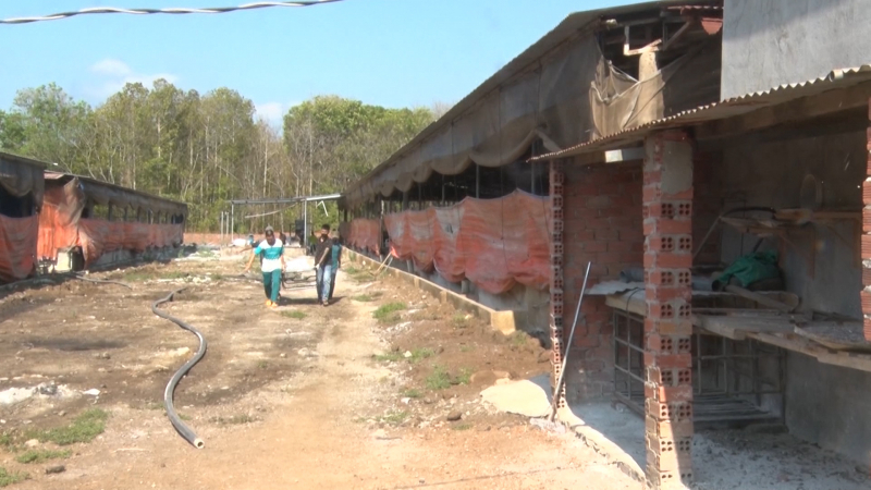 Ba người tử vong thương tâm do ngạt khí gas từ hầm chứa biogas  -0