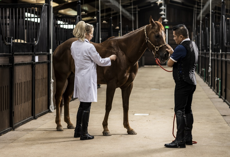 Sức hấp dẫn của Vinhomes Royal Island nhờ kết nối giao thông “bộ - không - thủy” -0