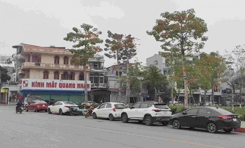 Chủ xe ô tô Hải Phòng nháo nhác tìm chỗ đỗ trước “lệnh cấm” -0