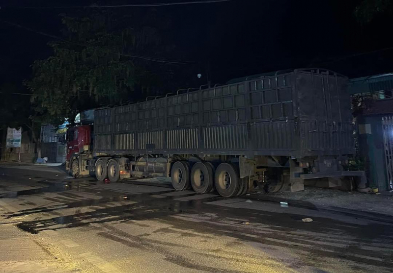 Va chạm với xe đầu kéo khiến 2 thiếu niên thương vong -0