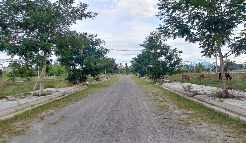 Thanh tra đột xuất dự án của chủ doanh nghiệp từng bị tạm hoãn xuất cảnh -0