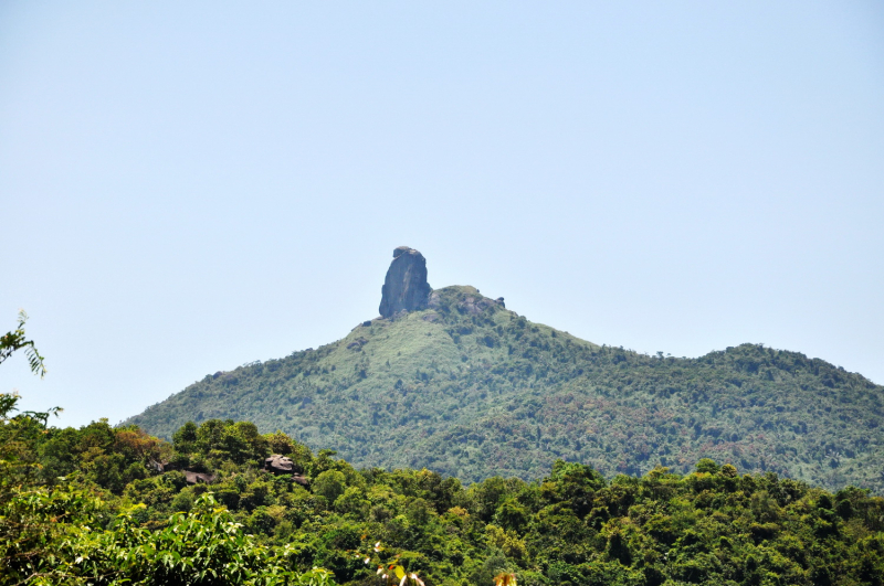 Ráo riết truy chặn những nhóm người vào rừng tìm trầm chỉ vì nguồn tin đồn thổi -0