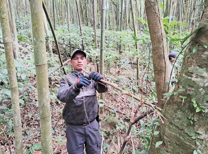 Tháo bẫy động vật hoang dã giữa rừng đại ngàn Trường Sơn -0