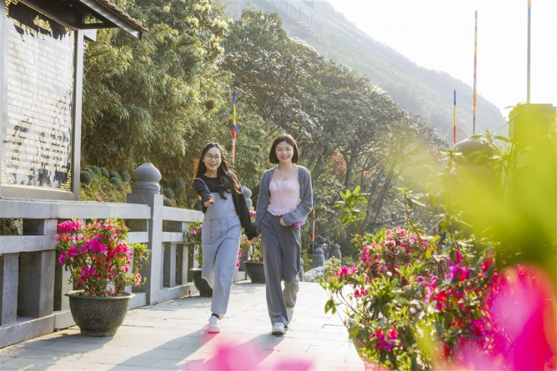 Chiêm ngưỡng vẻ đẹp mê mẩn của rừng hoa Đỗ quyên Fansipan -0