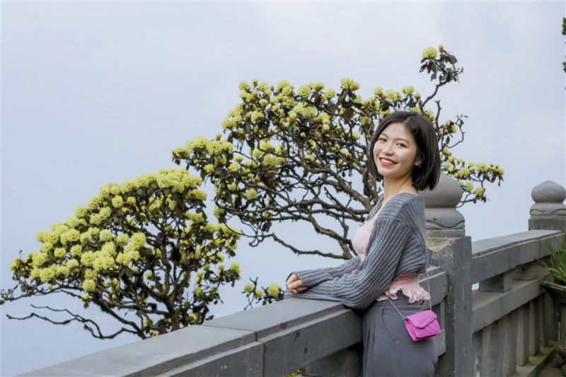 Chiêm ngưỡng vẻ đẹp mê mẩn của rừng hoa Đỗ quyên Fansipan -0