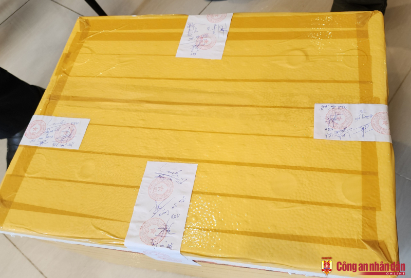 Bắt nhóm đối tượng phân lô, bán gần 2.000 đất nền thu lợi bất chính ở “đảo ngọc” Phú Quốc -0