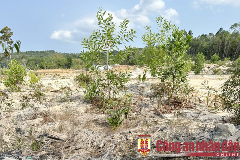 Bắt nhóm đối tượng phân lô, bán gần 2.000 đất nền thu lợi bất chính ở “đảo ngọc” Phú Quốc -1