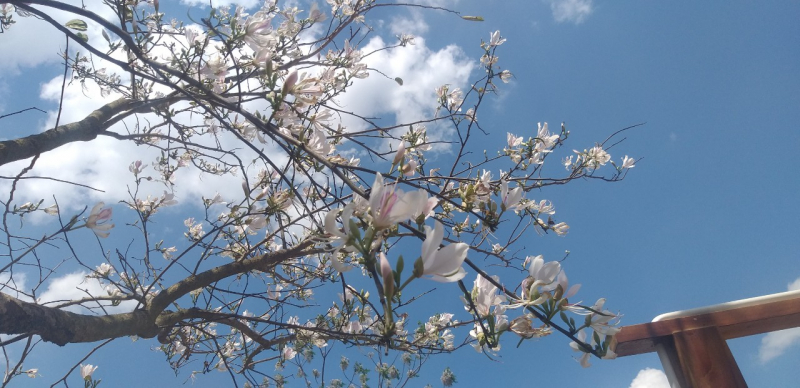 z5324075456172_c9febbdf494a4eb9c241b17e2f4ae92a.jpg -0