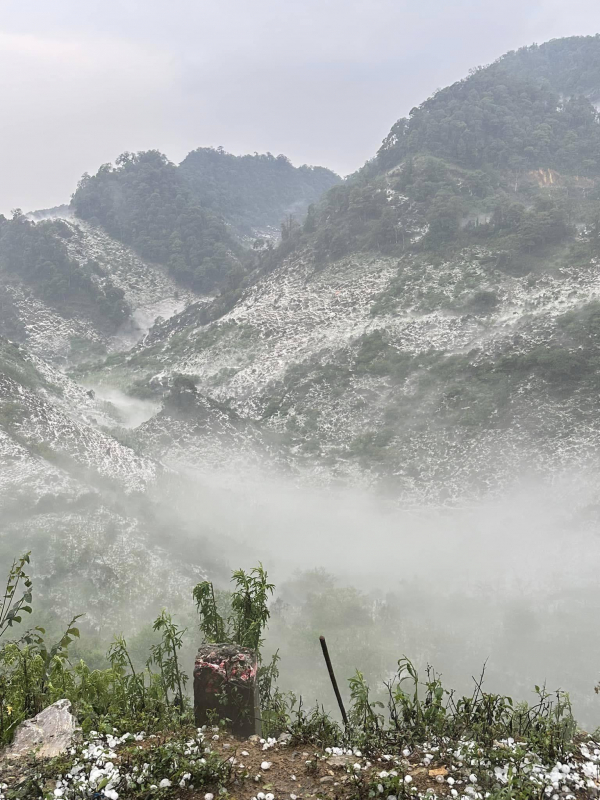 Mưa đá trắng trời gây hại hàng nghìn ha hoa màu của nhân dân -1