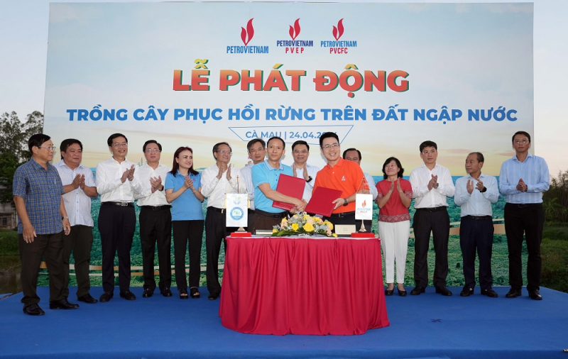 Petrovietnam phát động trồng cây phục hồi rừng trên đất ngập nước -0