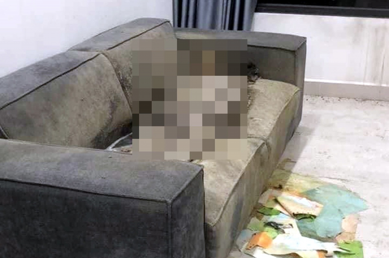 Vụ cô gái chết khô trên sofa: Điện thoại nạn nhân bị tháo SIM, căn hộ bị cắt điện nước do nợ tiền. -0