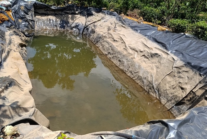 Hai mợ cháu tử vong dưới hố chứa nước tưới cà phê  -0