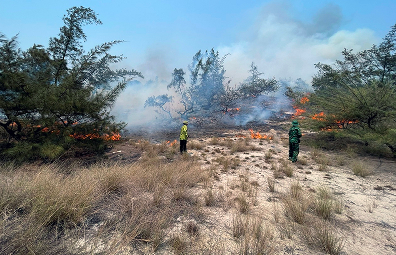  Liên tục xảy ra cháy rừng Quảng Bình chỉ đạo khẩn -0