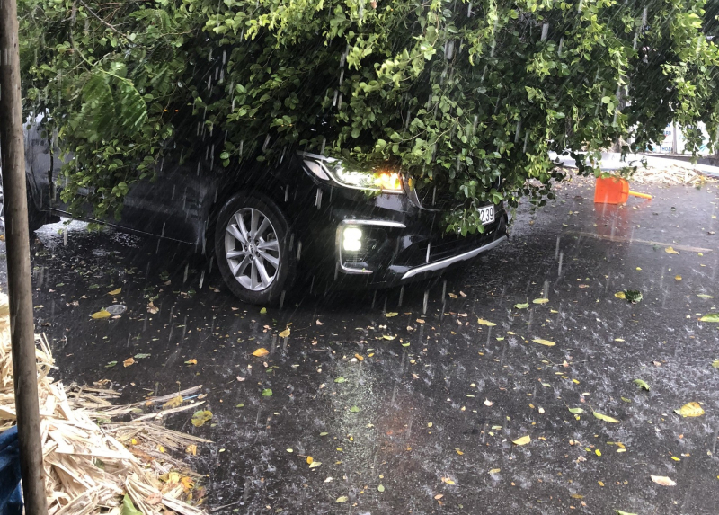 Nhiều sự cố trong những cơn mưa đầu mùa tại TP Hồ Chí Minh -0