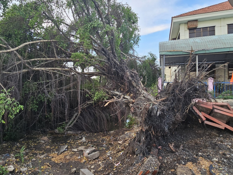 Nhiều sự cố trong những cơn mưa đầu mùa tại TP Hồ Chí Minh -2