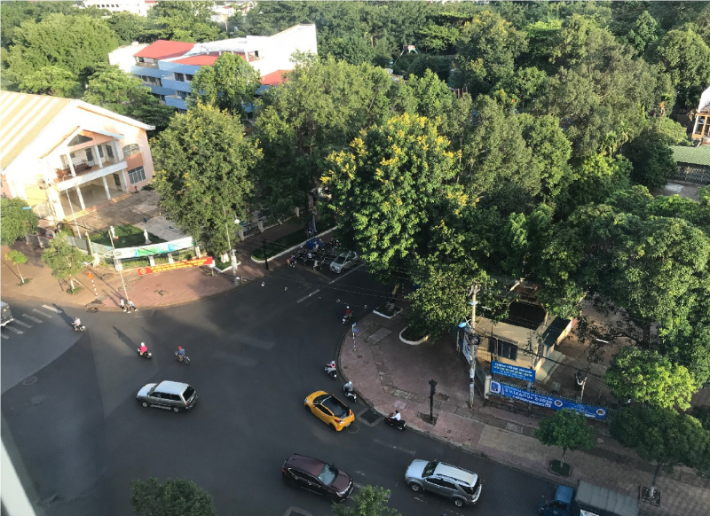 Bộ công an yêu cầu cung cấp hồ sơ các dự án trồng cây xanh của Công ty TNHH Cây xanh Công Minh -0