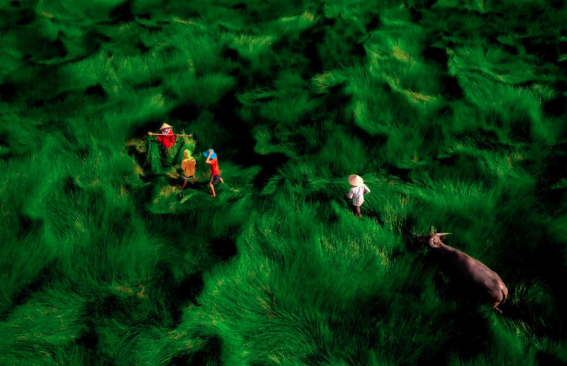 Photos of Vietnamese landscapes honoured at 35AWARDS Photography Award -0