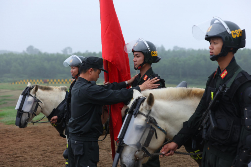 Chuyện về những “người bạn chiến mã” -0