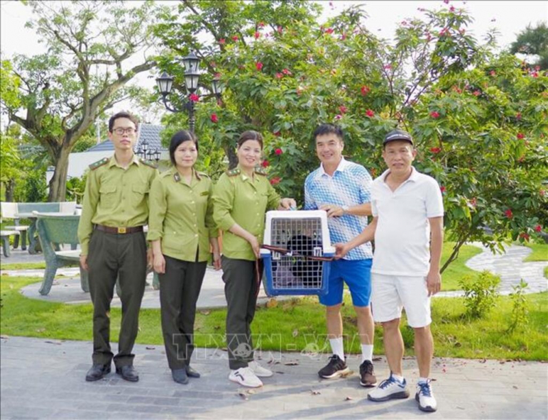 Vườn quốc gia Cúc Phương cứu hộ thành công một con vượn đen má hung quý hiếm -0