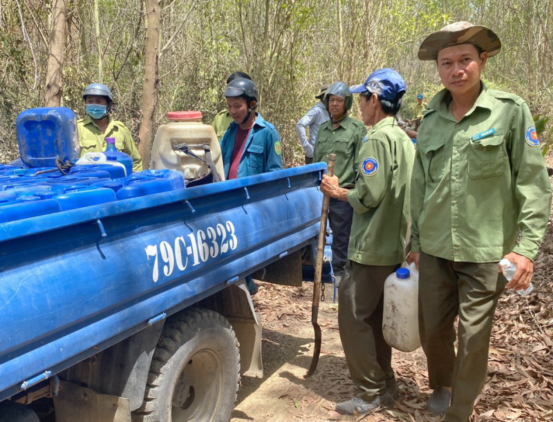 Khoảng 90ha rừng keo rẫy mía tái sinh và cây ăn quả bị thiệt hại từ vụ cháy -0