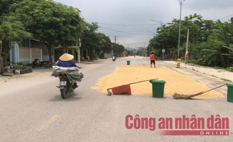 Nguy cơ tai nạn giao thông khi người dân phơi lúa trên mặt đường -0