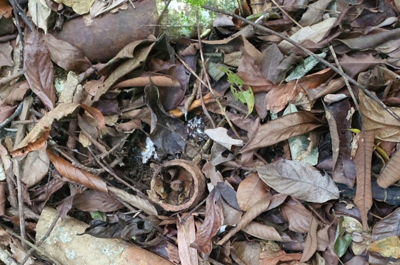 Nhiều bom đạn sót lại sau chiến tranh ở rừng bảo tồn Bắc Hướng Hóa -1