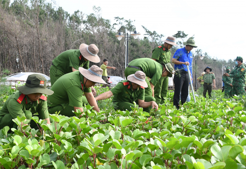 Tuổi trẻ Công an tỉnh Trà Vinh phối hợp trồng 2.500 cây xanh khu vực rừng phòng hộ -0