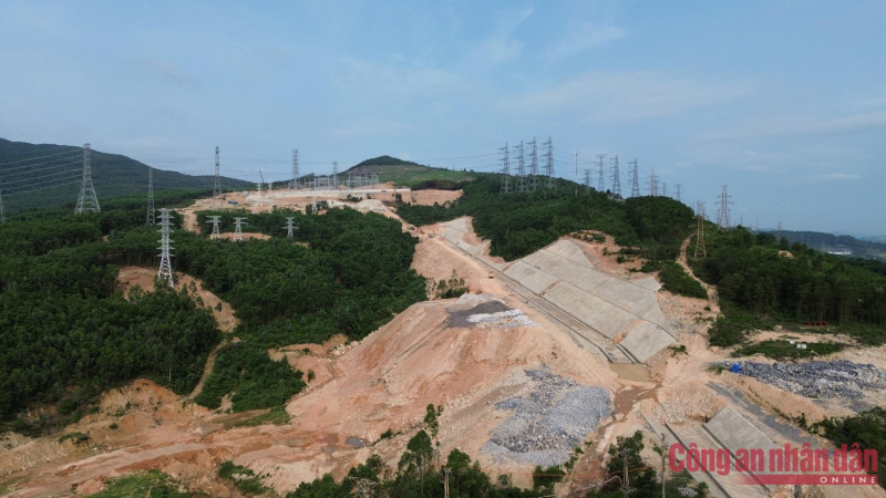 Một công ty bị phạt hành chính và trả tiền tái trồng rừng gần 1 tỷ đồng -0