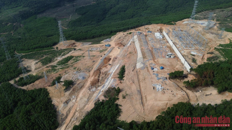 Một công ty bị phạt hành chính và trả tiền tái trồng rừng gần 1 tỷ đồng -0