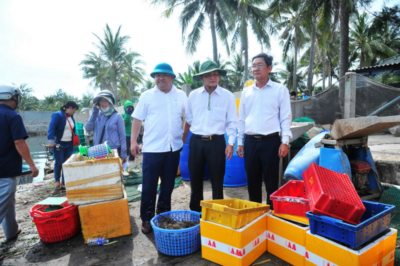  Số lượng tôm, cá chết bất thường ở xã Xuân Thịnh tăng lên hơn 91 tấn -0