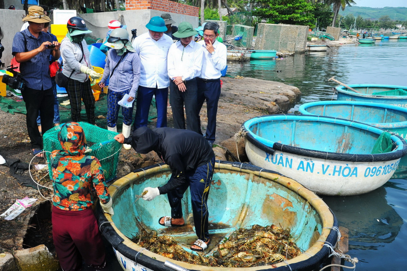  Số lượng tôm, cá chết bất thường ở xã Xuân Thịnh tăng lên hơn 91 tấn -0