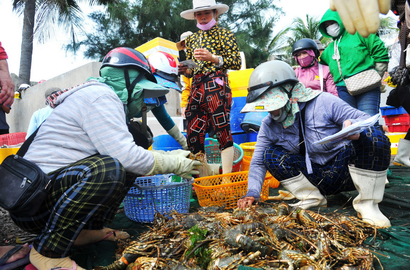  Số lượng tôm, cá chết bất thường ở xã Xuân Thịnh tăng lên hơn 91 tấn -0