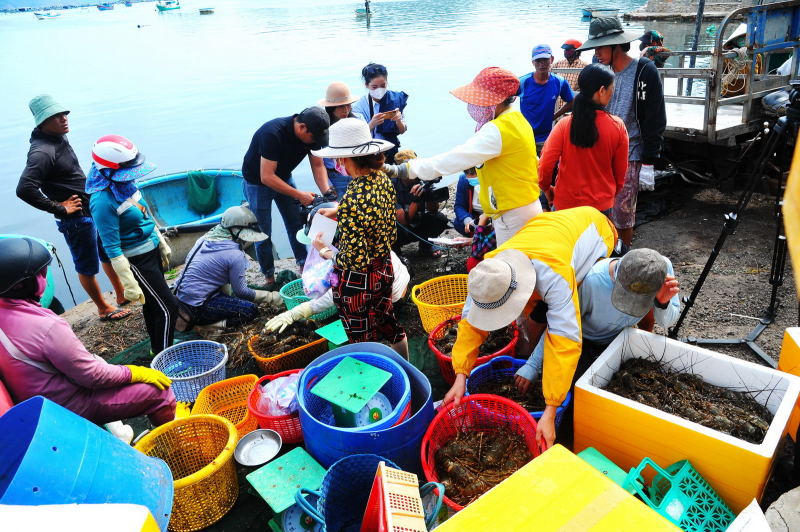 Nhận định nguyên nhân tôm, cá chết hàng loạt ở 