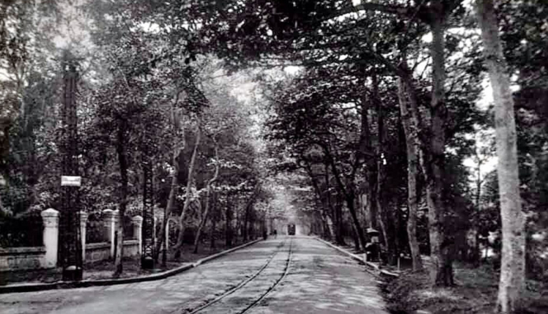 2-phố quán thánh năm 1915.jpg -1