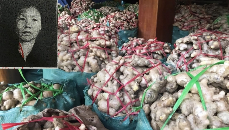 Nữ giám đốc mua bán hàng nông sản chiếm đoạt hơn 4,5 tỷ đồng -0