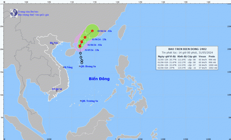 Áp thấp nhiệt đới thành bão số 1, Biển Đông mưa to sóng lớn -0
