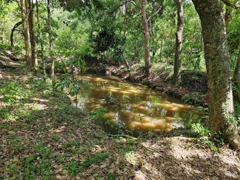 Thanh niên tử vong nghi do đuối nước	 -0