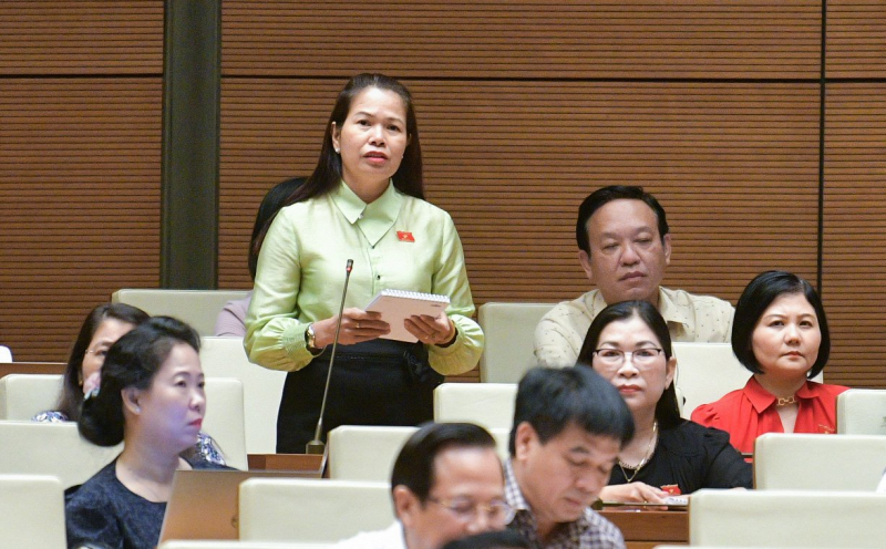  Quỹ phát triển du lịch: 