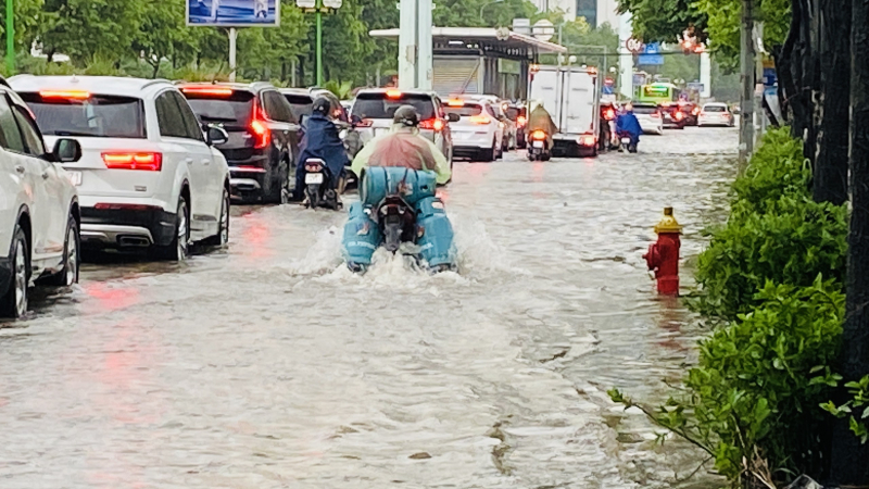 z5508588731466_e18345c994c97f2cb60995eff3293bbb.jpg -0