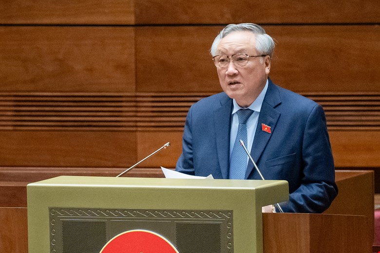 Đề nghị bổ sung biện pháp giám sát điện tử đối với người chưa thành niên phạm tội -0