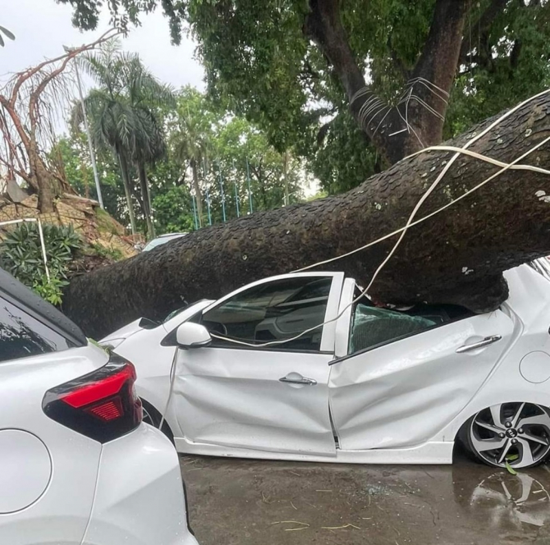 Công an Hải Phòng xuống đường giúp dân trong mưa lụt kỷ lục -0